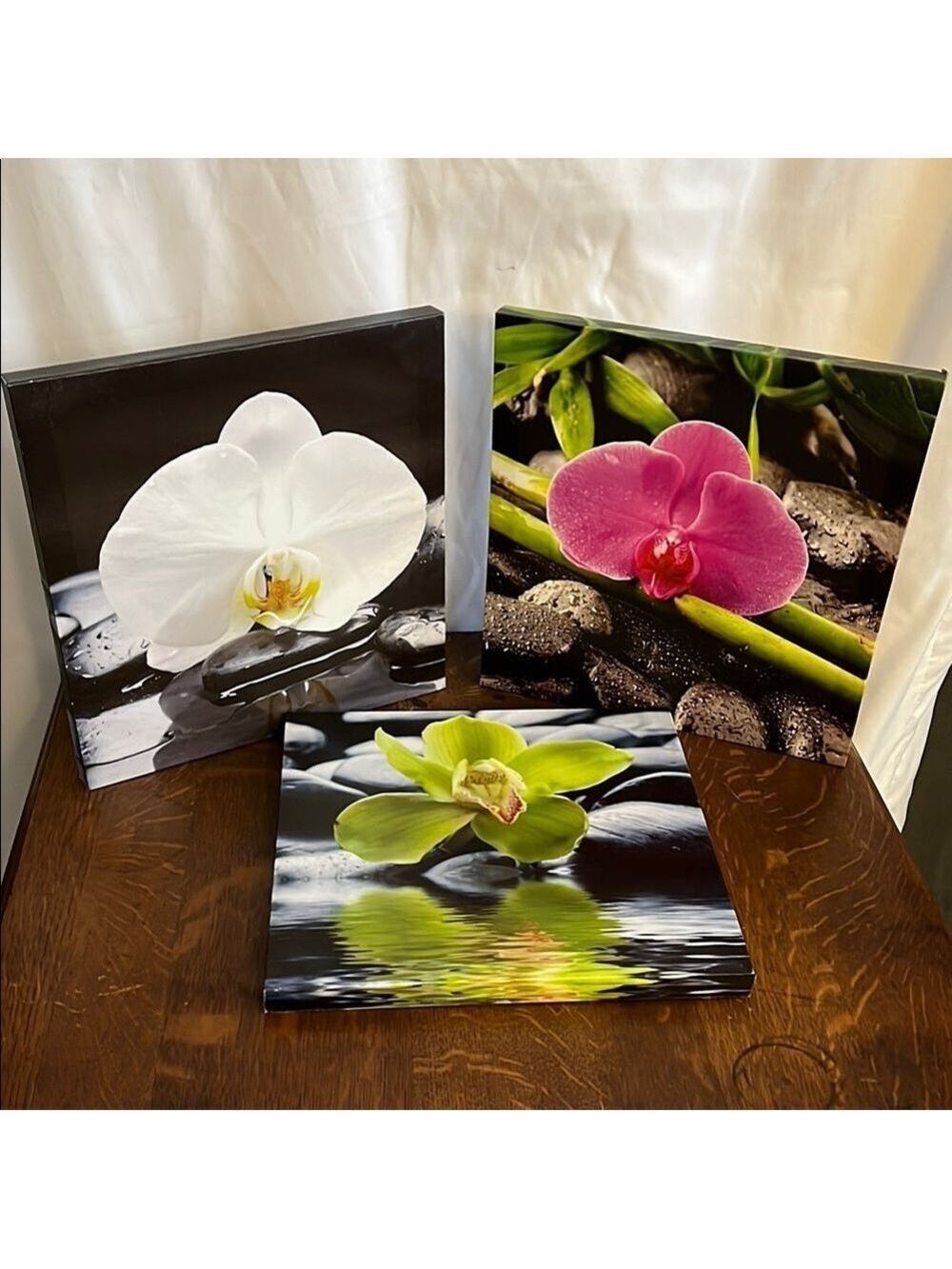 Floral Canvas Art Set - White, Pink, Green Orchids